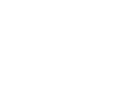 Seguros afirme