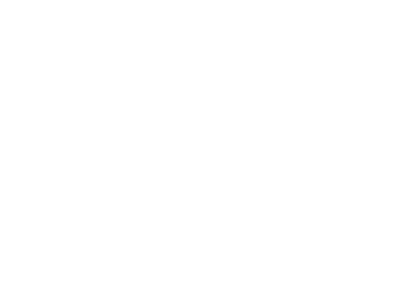 segurois ana